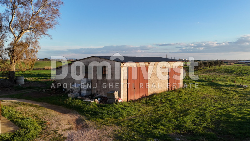 Immagine 14 di Rustico / casale in vendita  in STRADA PROVINCIALE PESCIA ROMANA a Capalbio