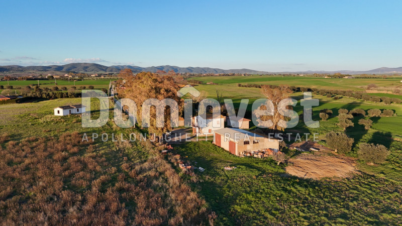 Immagine 16 di Rustico / casale in vendita  in STRADA PROVINCIALE PESCIA ROMANA a Capalbio
