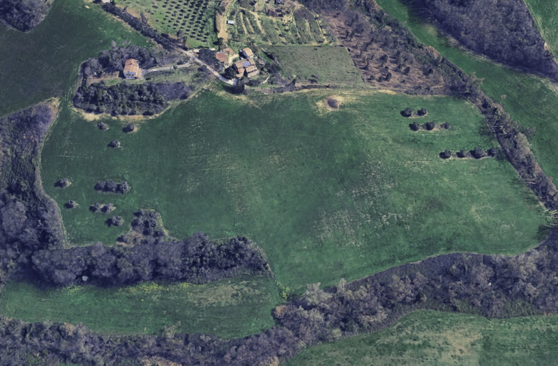 Immagine 3 di Terreno in vendita  in novilara a Pesaro