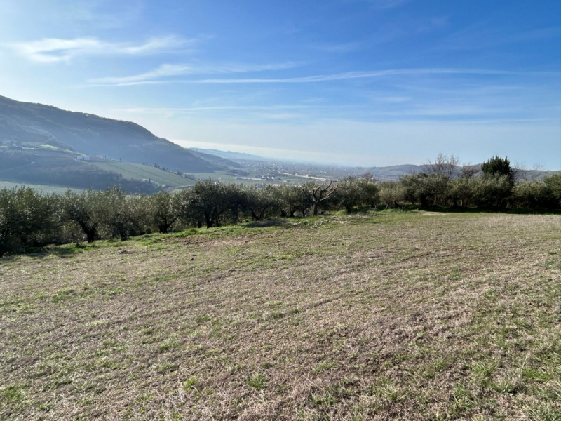 Immagine 1 di Terreno in vendita  a Tregnago