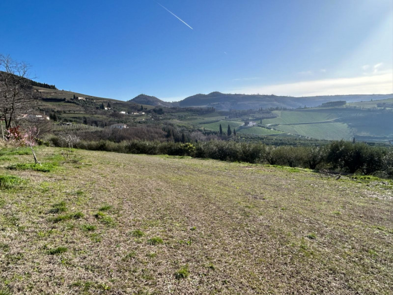 Immagine 2 di Terreno in vendita  a Tregnago