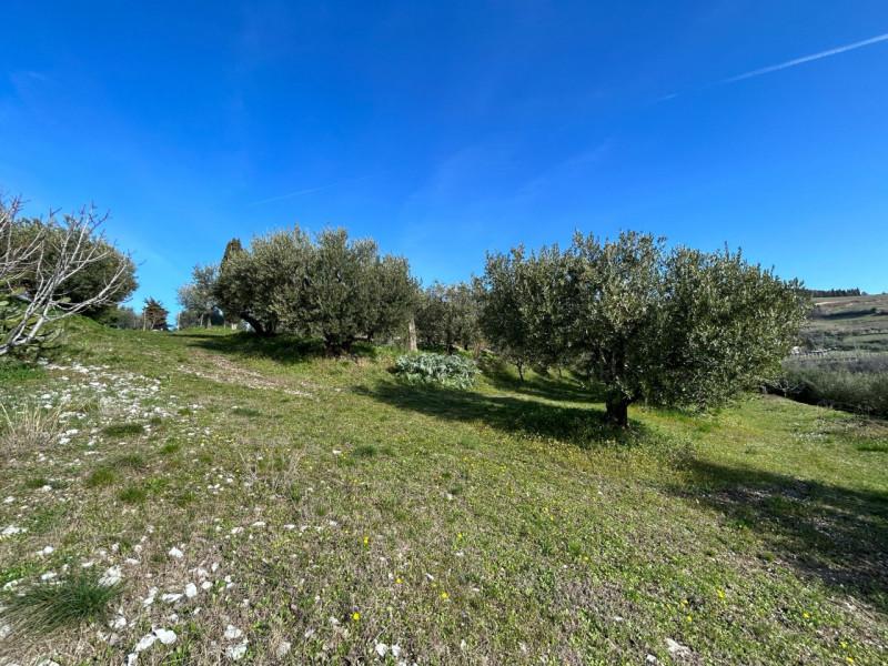 Immagine 14 di Terreno in vendita  a Tregnago