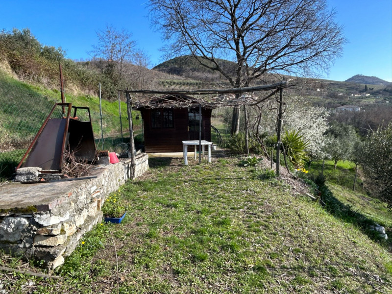 Immagine 15 di Terreno in vendita  a Tregnago