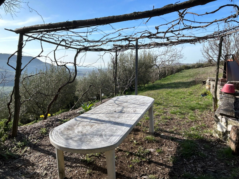 Immagine 16 di Terreno in vendita  a Tregnago