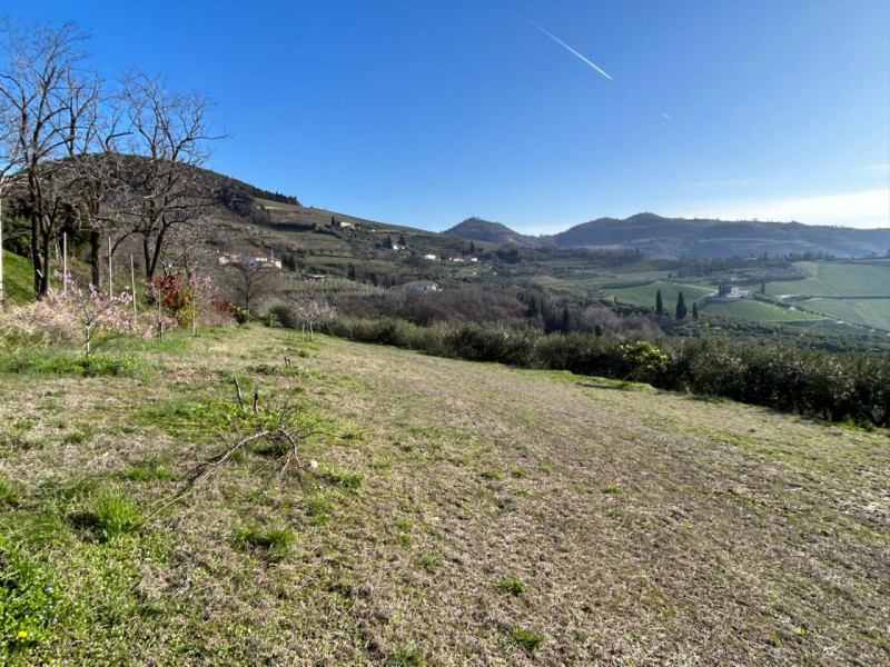 Immagine 17 di Terreno in vendita  a Tregnago