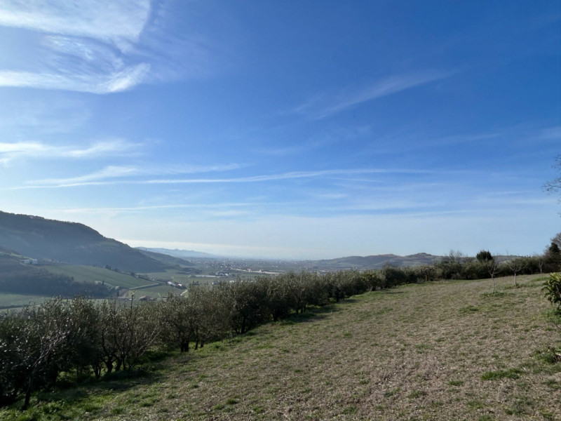 Immagine 18 di Terreno in vendita  a Tregnago