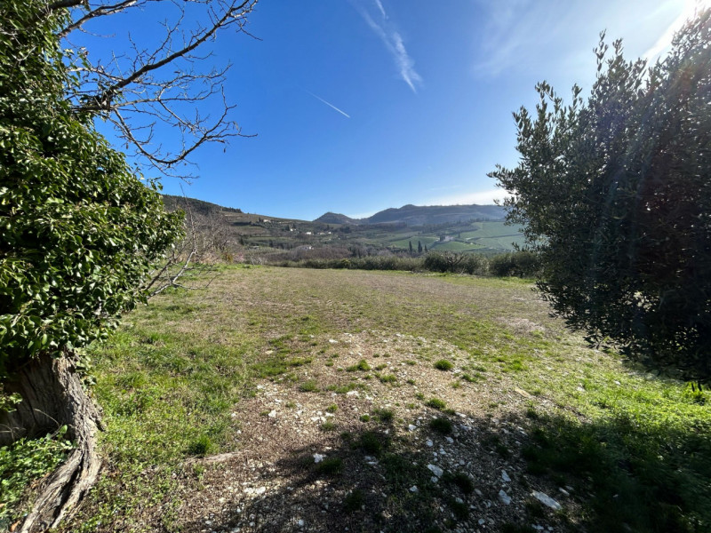 Immagine 19 di Terreno in vendita  a Tregnago
