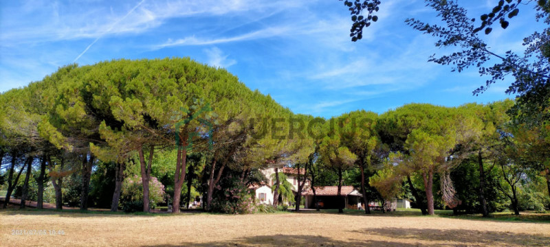 Immagine 8 di Villa in vendita  in Via Adriatica a Jesolo