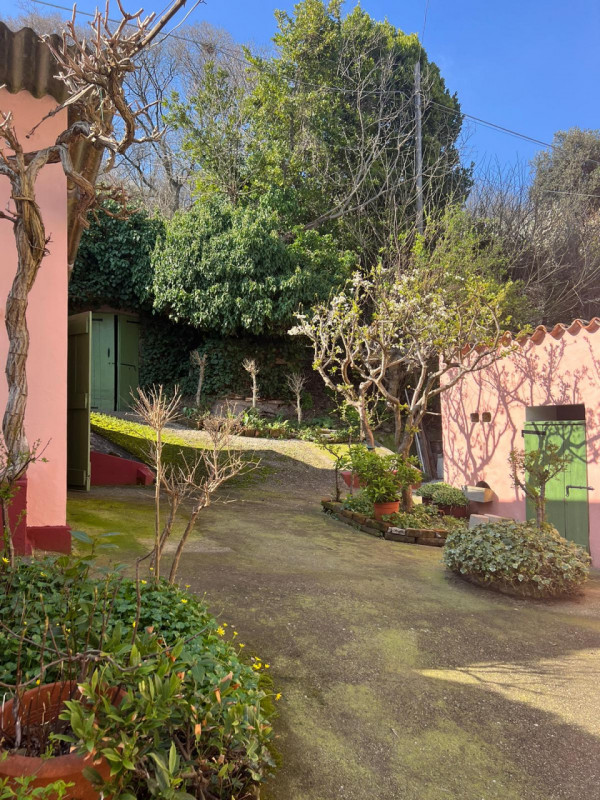 Immagine 3 di Casa indipendente in vendita  in Via Fontanon a Lozzo Atestino