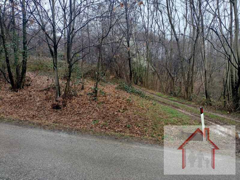 Immagine 2 di Terreno in vendita  a Volpago Del Montello