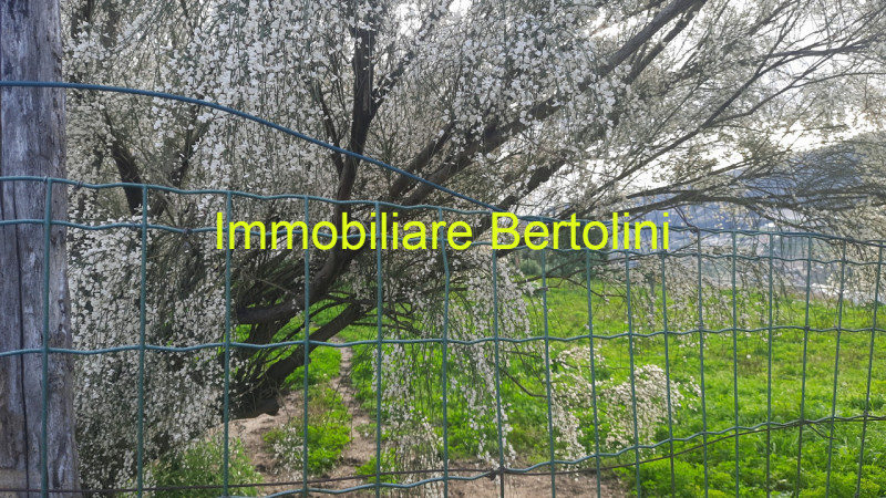 Immagine 10 di Casa indipendente in vendita  in COLDIRODI a San Remo