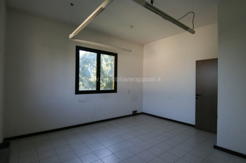 Immagine 5 di Ufficio in affitto  a Sinalunga