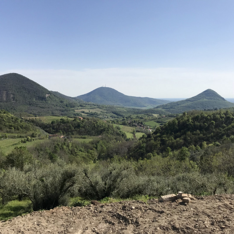 Immagine 13 di Rustico / casale in vendita  in VIA ROMA a Cinto Euganeo