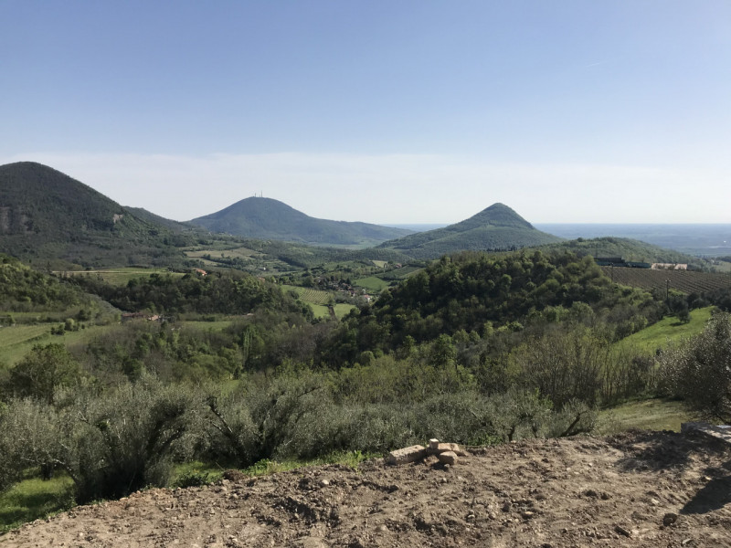 Immagine 15 di Rustico / casale in vendita  in VIA ROMA a Cinto Euganeo