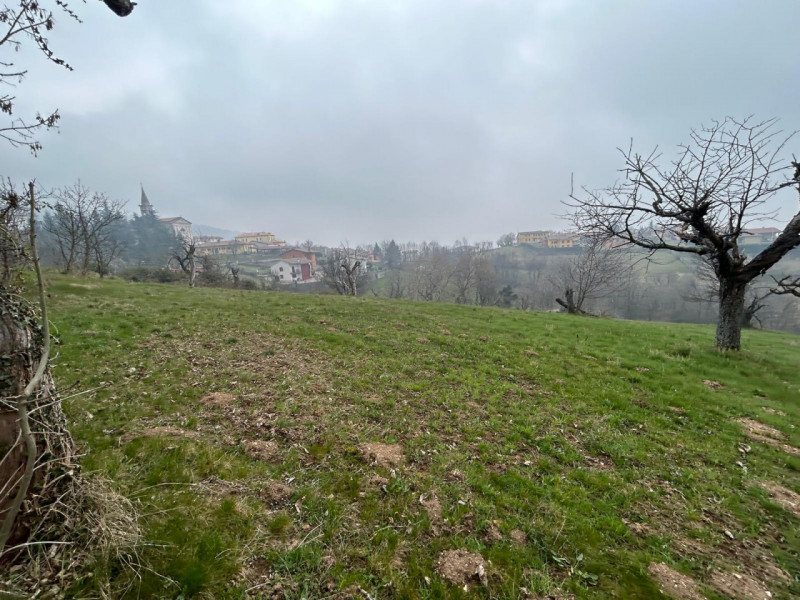 Immagine 2 di Terreno in vendita  a San Mauro Di Saline