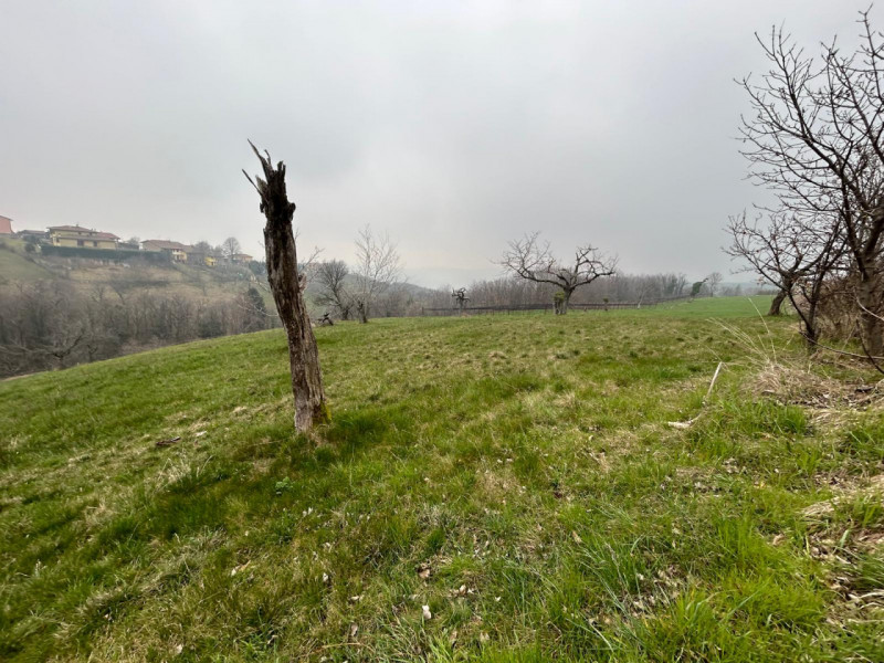 Immagine 4 di Terreno in vendita  a San Mauro Di Saline