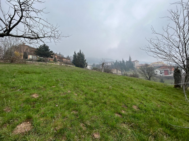 Immagine 5 di Terreno in vendita  a San Mauro Di Saline