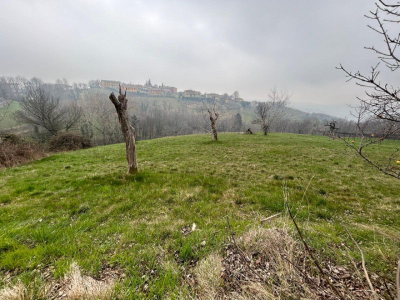Immagine 8 di Terreno in vendita  a San Mauro Di Saline