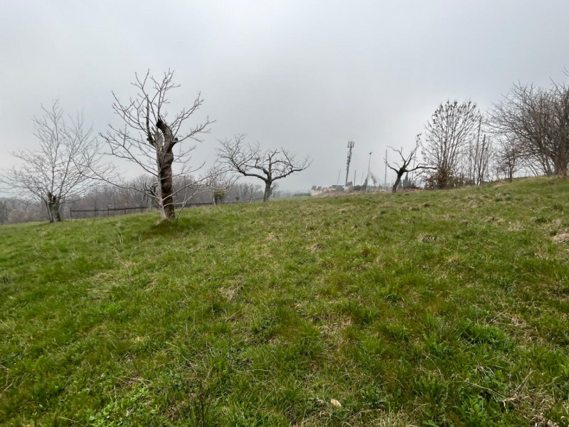 Immagine 9 di Terreno in vendita  a San Mauro Di Saline