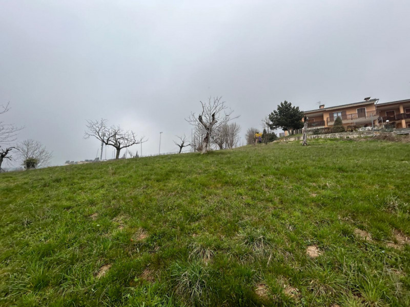 Immagine 10 di Terreno in vendita  a San Mauro Di Saline
