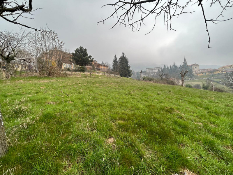 Immagine 12 di Terreno in vendita  a San Mauro Di Saline