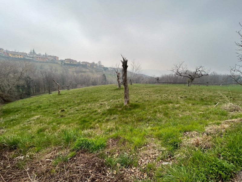 Immagine 13 di Terreno in vendita  a San Mauro Di Saline