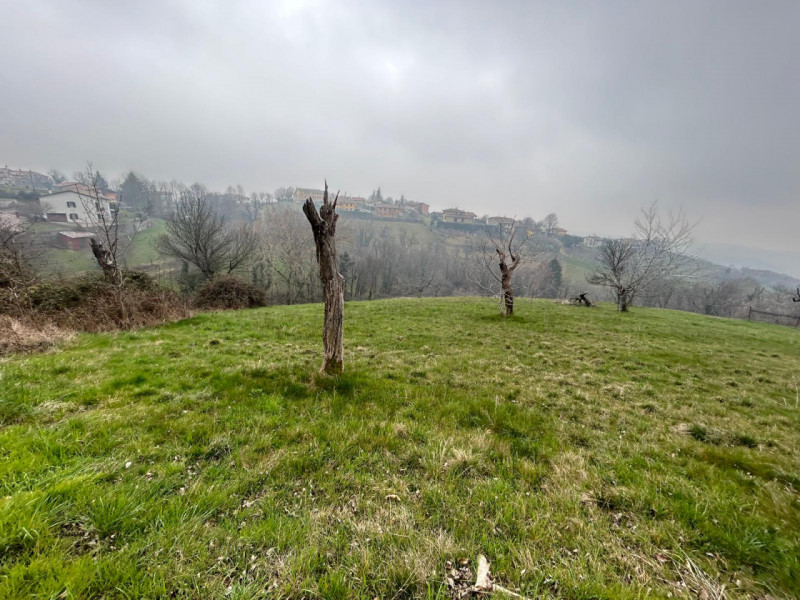 Immagine 14 di Terreno in vendita  a San Mauro Di Saline