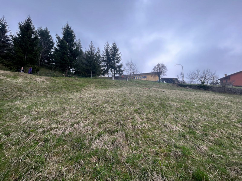 Immagine 16 di Terreno in vendita  a San Mauro Di Saline