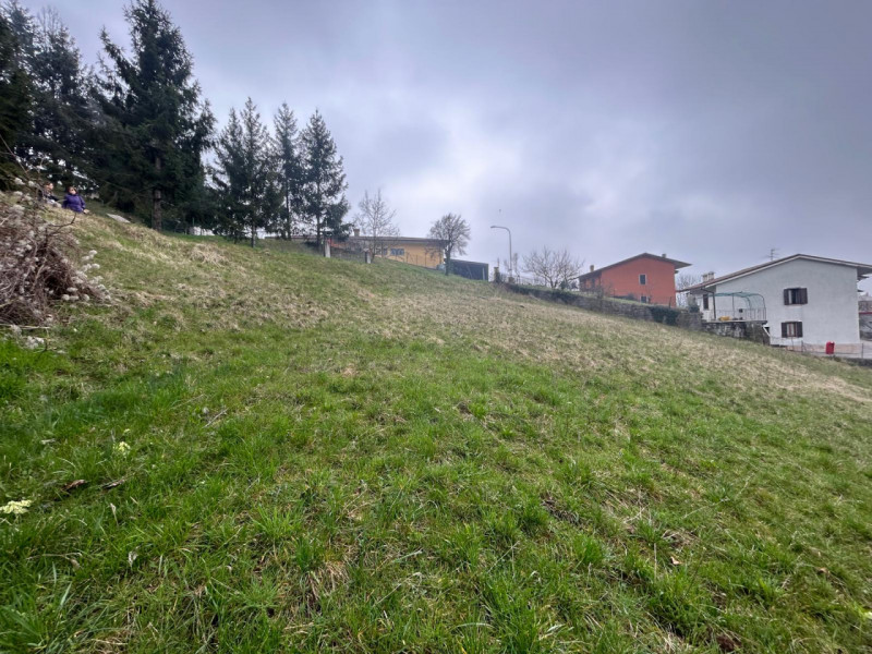 Immagine 18 di Terreno in vendita  a San Mauro Di Saline
