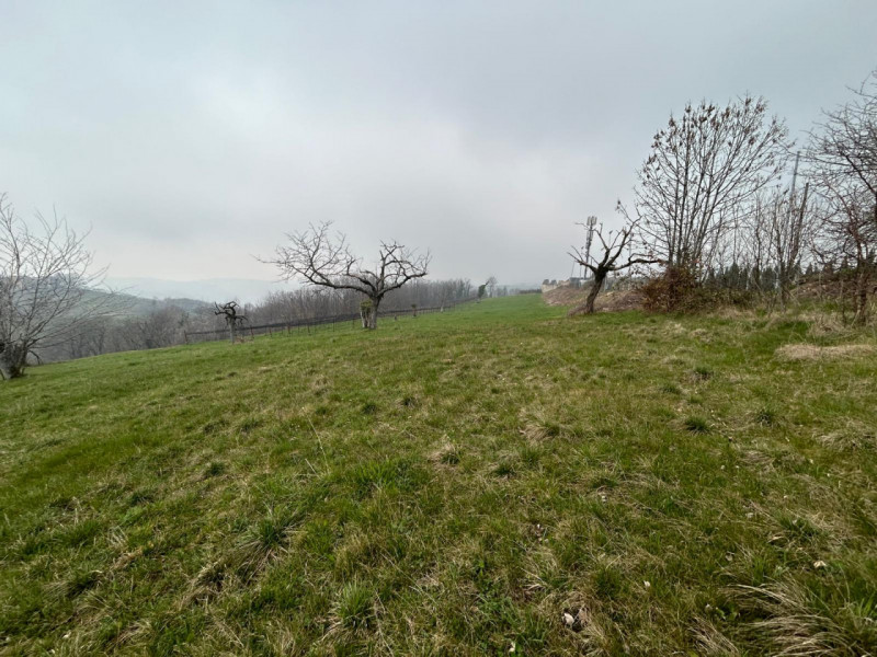 Immagine 20 di Terreno in vendita  a San Mauro Di Saline