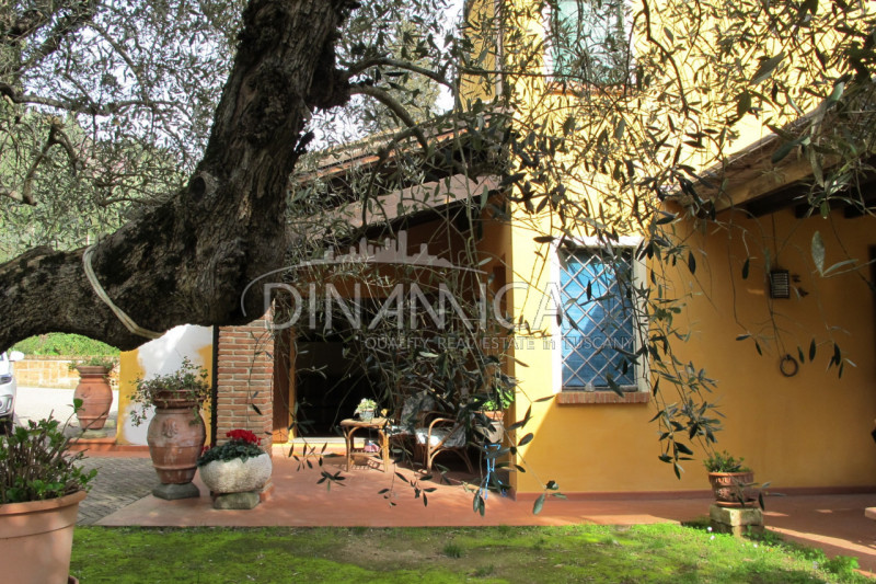 Immagine 5 di Rustico / casale in vendita  a Palaia