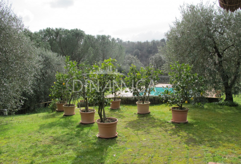 Immagine 6 di Rustico / casale in vendita  a Palaia