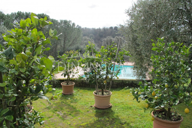 Immagine 31 di Rustico / casale in vendita  a Palaia