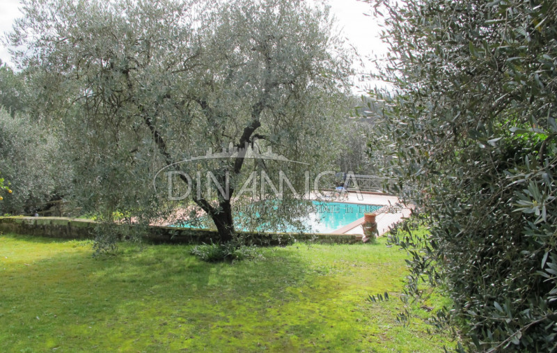 Immagine 33 di Rustico / casale in vendita  a Palaia