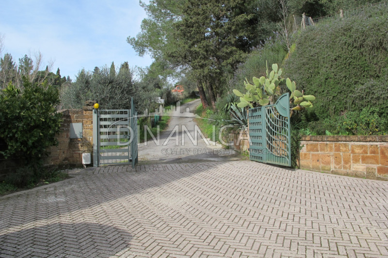 Immagine 35 di Rustico / casale in vendita  a Palaia