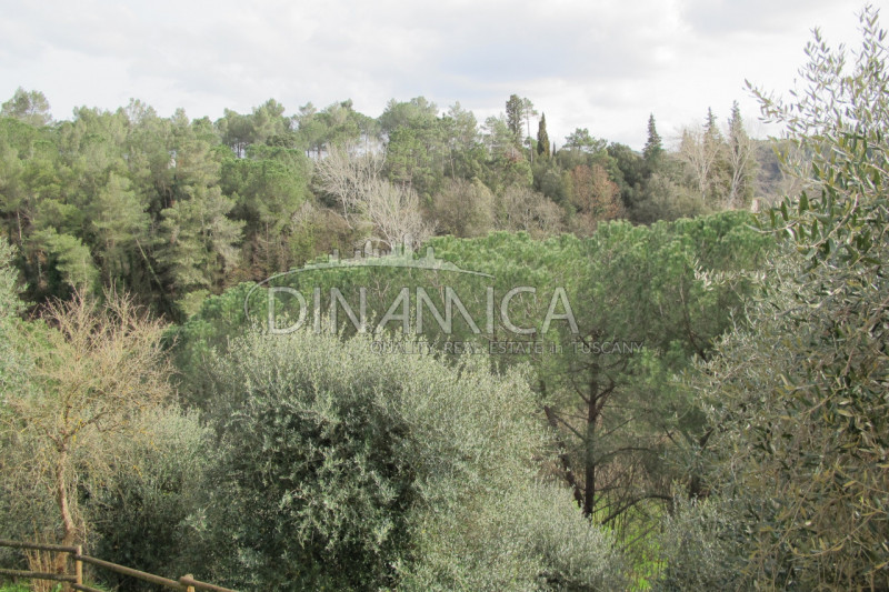 Immagine 40 di Rustico / casale in vendita  a Palaia