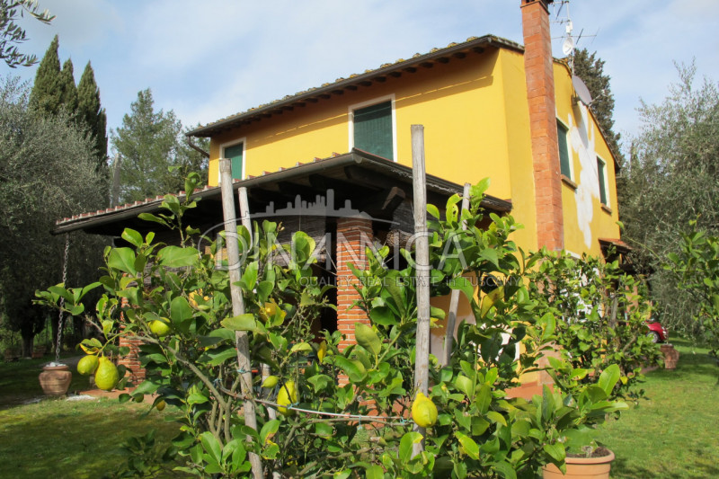 Immagine 45 di Rustico / casale in vendita  a Palaia