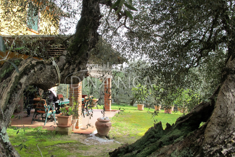 Immagine 46 di Rustico / casale in vendita  a Palaia