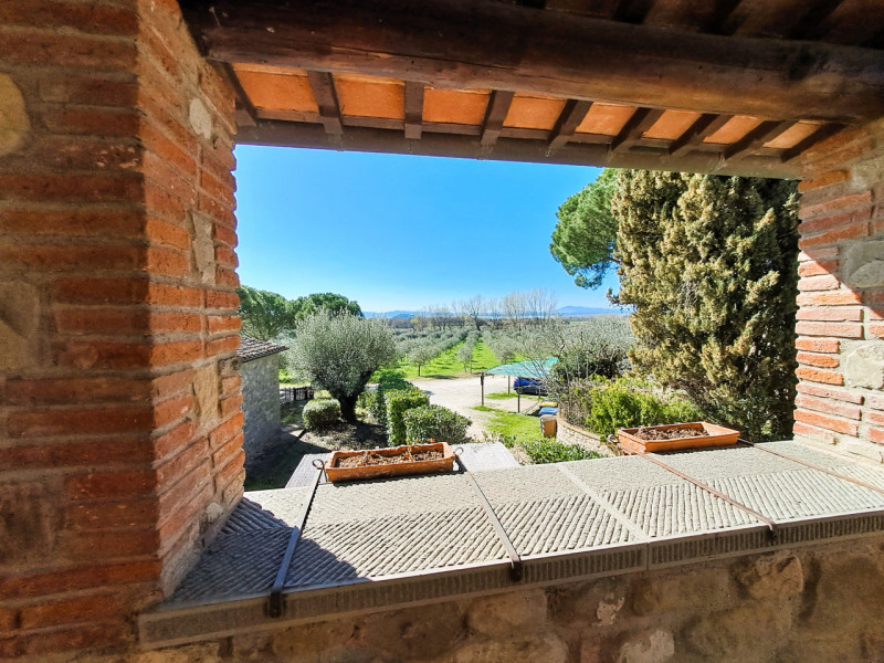 Immagine 4 di Rustico / casale in vendita  a Tuoro Sul Trasimeno