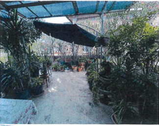 Immagine 44 di Palazzo in vendita  in VICOLO BALDANI 246 a Bussolengo