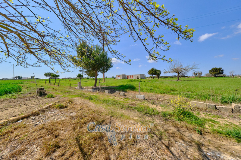 Immagine 2 di Terreno in vendita  in Via Felline a Racale