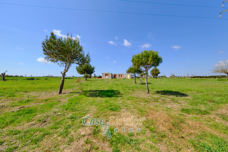 Immagine 3 di Terreno in vendita  in Via Felline a Racale