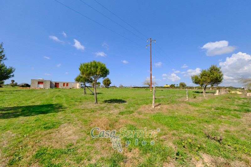 Immagine 4 di Terreno in vendita  in Via Felline a Racale