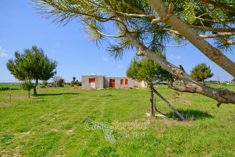 Immagine 6 di Terreno in vendita  in Via Felline a Racale