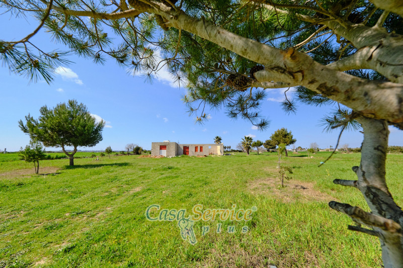 Immagine 11 di Terreno in vendita  in Via Felline a Racale