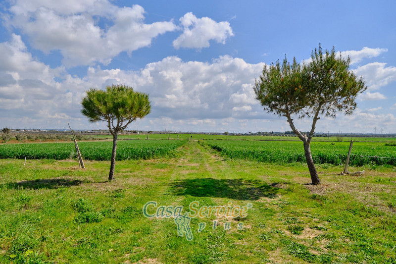 Immagine 13 di Terreno in vendita  in Via Felline a Racale