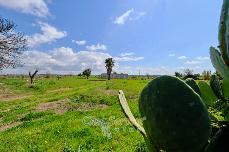 Immagine 19 di Terreno in vendita  in Via Felline a Racale