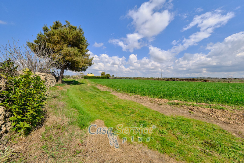 Immagine 20 di Terreno in vendita  in Via Felline a Racale