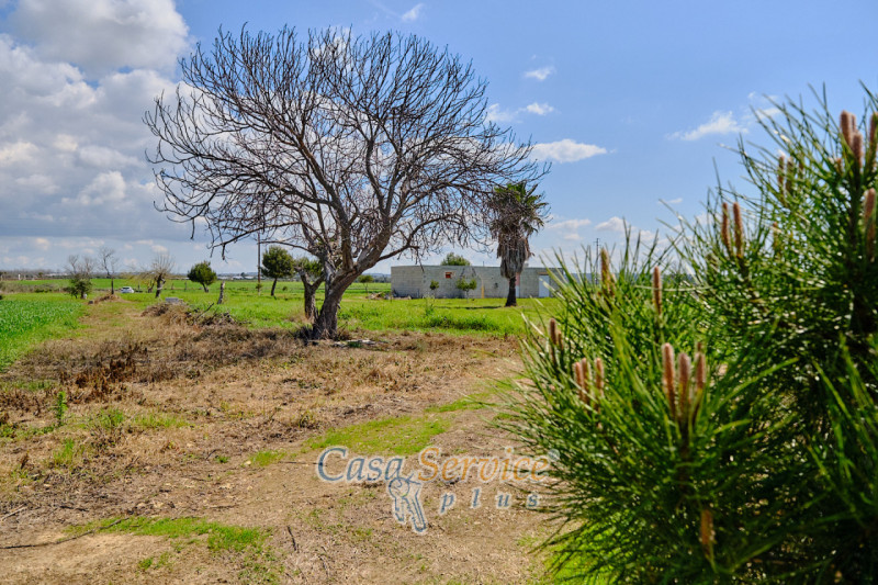 Immagine 21 di Terreno in vendita  in Via Felline a Racale