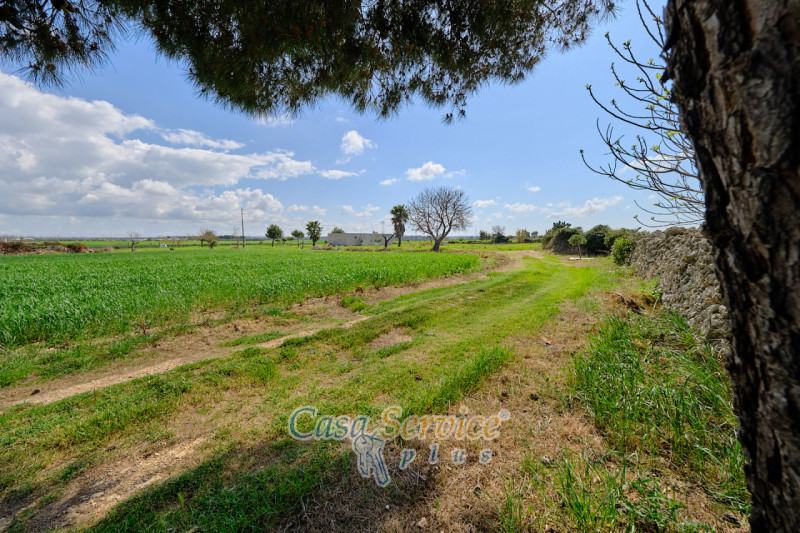 Immagine 22 di Terreno in vendita  in Via Felline a Racale